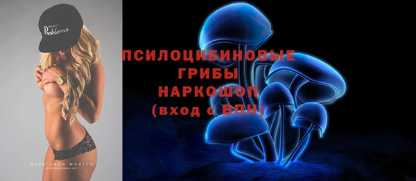 круглые Алзамай
