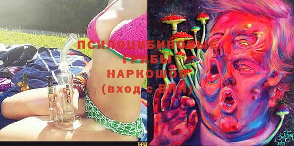 круглые Алзамай